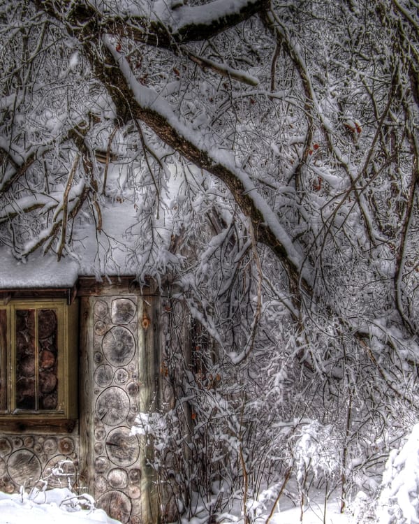 Award-winning photograph by Tom Dockham