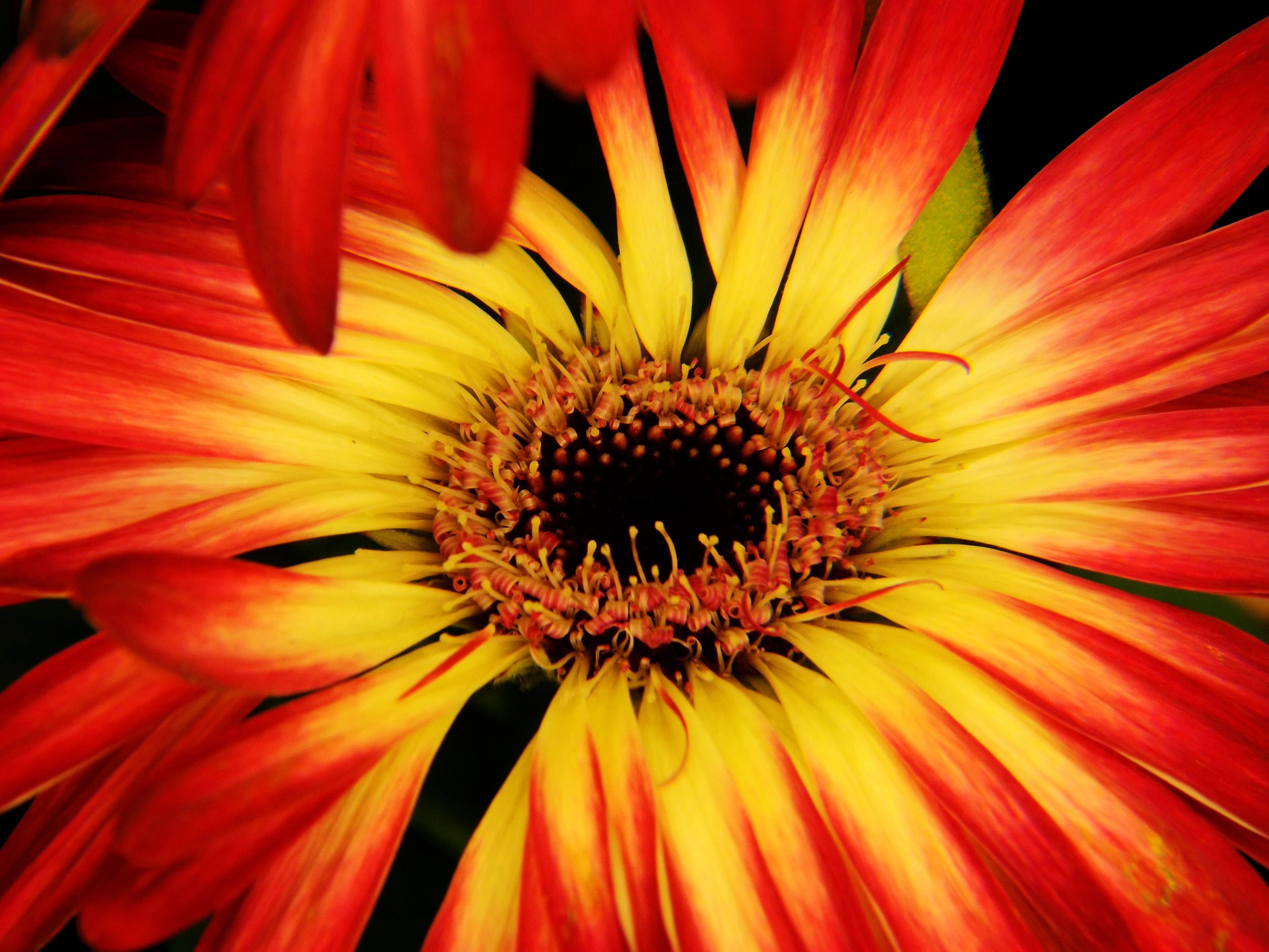 Award-winning photograph by Tom Dockham